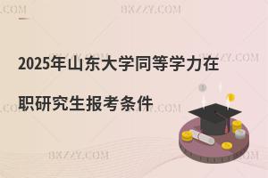 2025年山東大學同等學力在職研究生報考條件